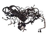 Engine installation wiring loom