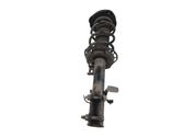 Front shock absorber with coil spring