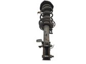 Front shock absorber with coil spring