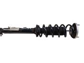 Rear shock absorber with coil spring