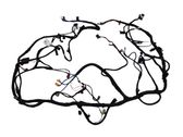 Other wiring loom