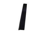 Rear door glass trim molding