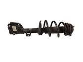 Front shock absorber with coil spring