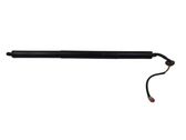 Tailgate/trunk strut/damper