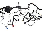 Engine installation wiring loom