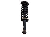 Rear shock absorber with coil spring
