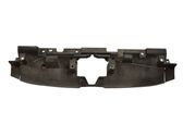 Radiator trim