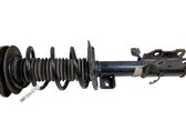 Front shock absorber with coil spring