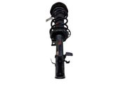 Front shock absorber with coil spring