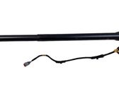 Tailgate/trunk strut/damper