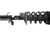 Front shock absorber with coil spring
