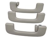 A set of handles for the ceiling