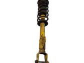 Front shock absorber with coil spring