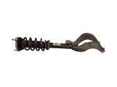 Front shock absorber with coil spring