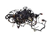 Other wiring loom