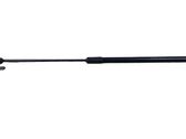 Front bonnet/hood damper/strut