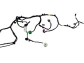 Other wiring loom