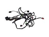 Front door wiring loom