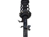 Front shock absorber with coil spring