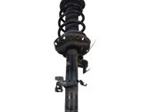 Front shock absorber with coil spring