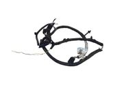 Other wiring loom