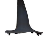 (B) pillar trim (bottom)