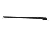 Rear door glass trim molding