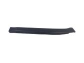 Rear door trim (molding)