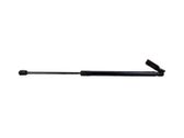 Tailgate/trunk strut/damper