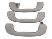 A set of handles for the ceiling
