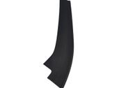 Rear door glass trim molding