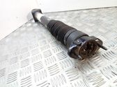 Rear shock absorber/damper