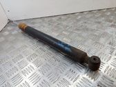 Rear shock absorber/damper