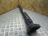 Stoßdämpfer hinten