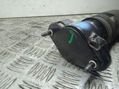 Rear shock absorber/damper