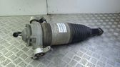 Rear shock absorber/damper