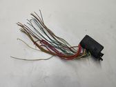 Other wiring loom
