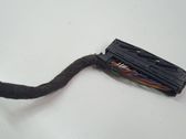 Other wiring loom