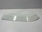 Fender trim (molding)
