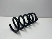 Rear coil spring