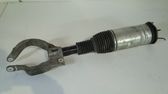 Front shock absorber/damper