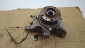 Rear wheel hub