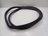 Rear door rubber seal (on body)