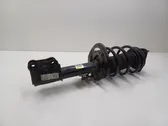 Front shock absorber/damper