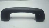 Front interior roof grab handle