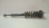 Front shock absorber/damper