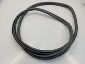 Front door rubber seal