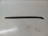 Windshield trim