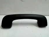 Front interior roof grab handle