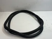 Rear door rubber seal (on body)